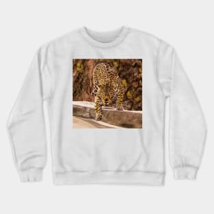 Jaguar Crewneck Sweatshirt